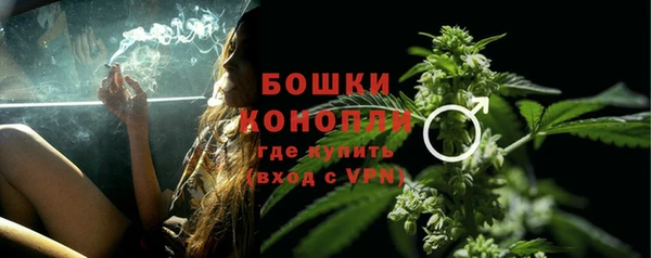 амф Дмитров