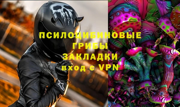 ешки Гусев