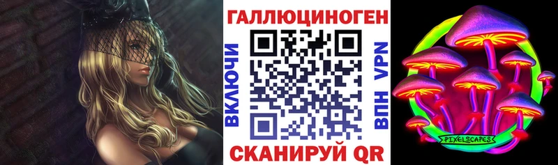 Купить где  Мончегорск  Галлюциногенные грибы GOLDEN TEACHER 