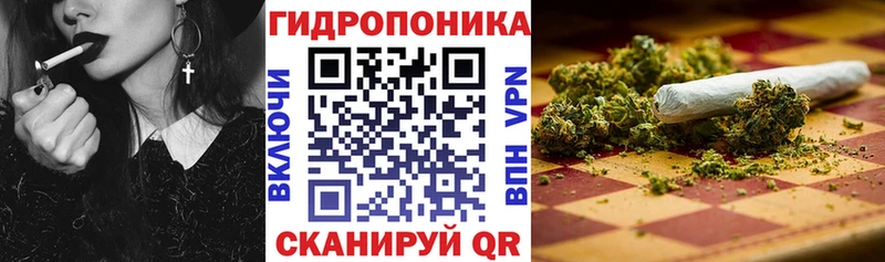 Купить где  Мончегорск  Бошки марихуана сатива 